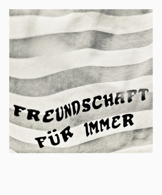 FREUNDSCHAFT - ID 014276