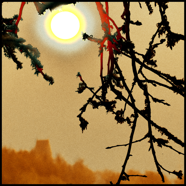 Winter Sunset II - ID 014321