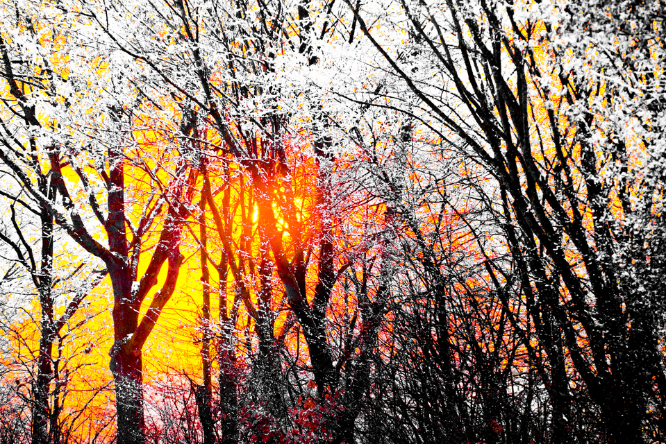 Winter Sunset VII - ID 014326