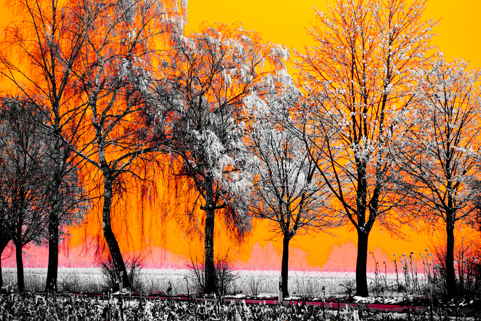 Winter Sunset VIII - ID 014327