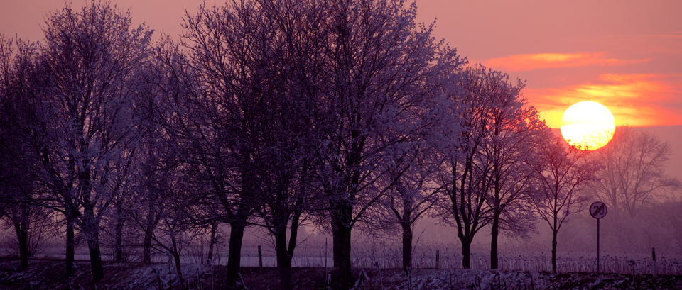 Winter Sunset XVI - ID 014335