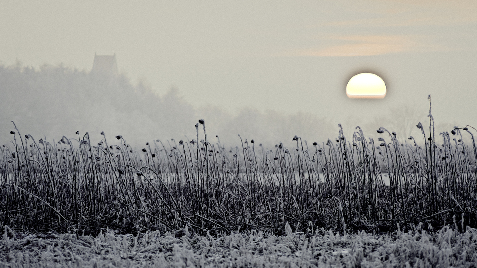 Winter Sunset XIX - ID 014338