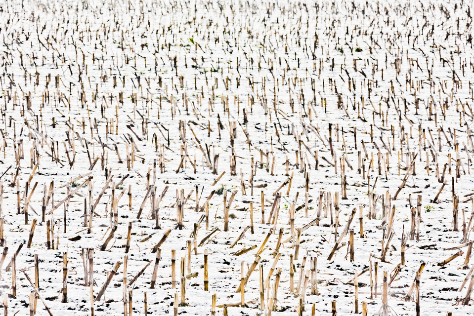 Emptied I - ID 014343