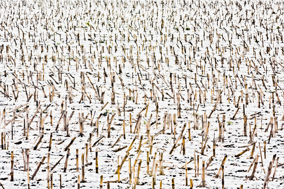 Emptied II - ID 014344