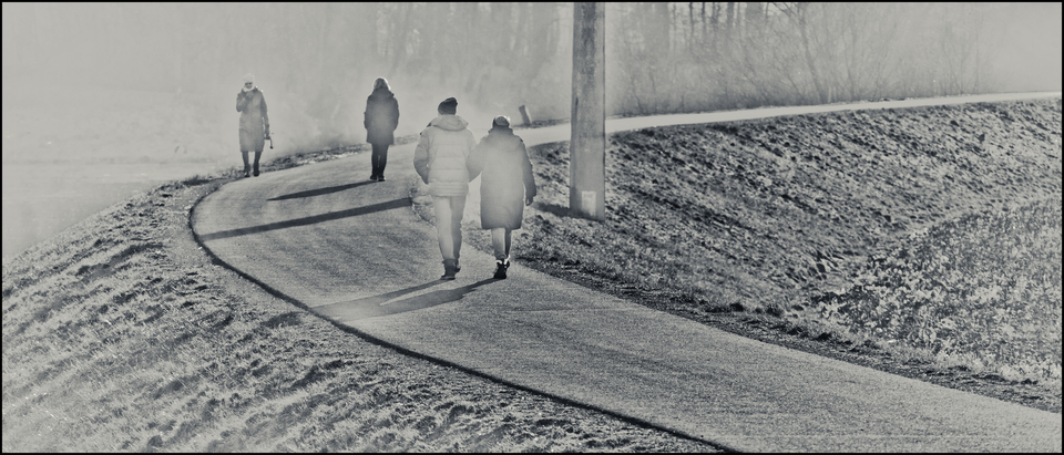 Winter Sunday Walk - ID 014374