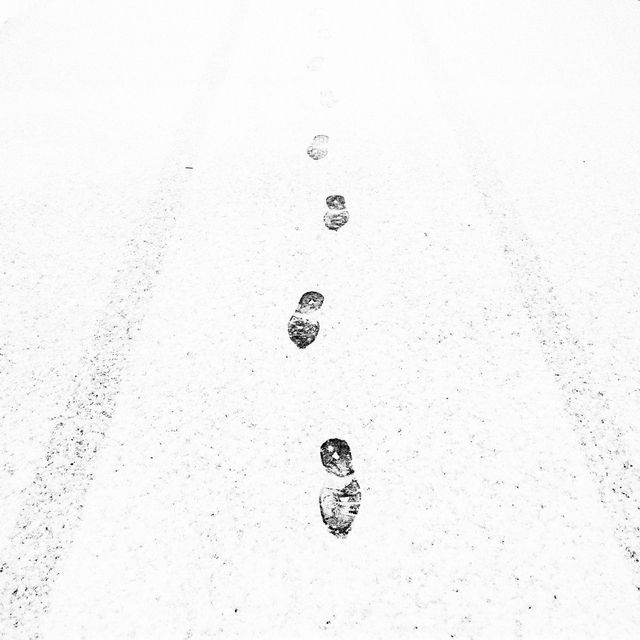 Footsteps on Snow II - ID 014384