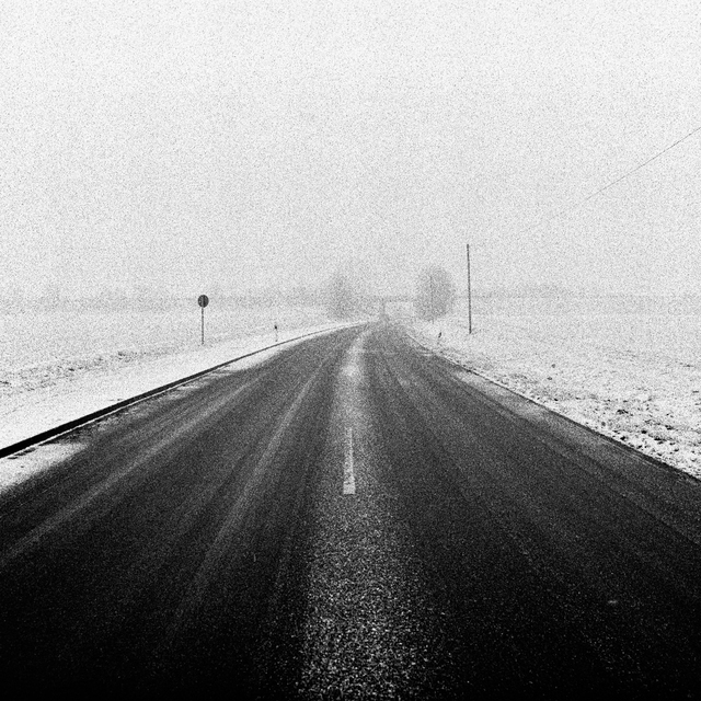 Winter Snow and Fog - ID 014390