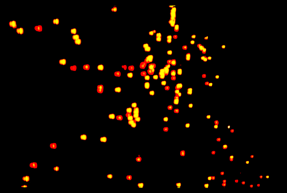 Serenade of Lights XVIII - ID 014608